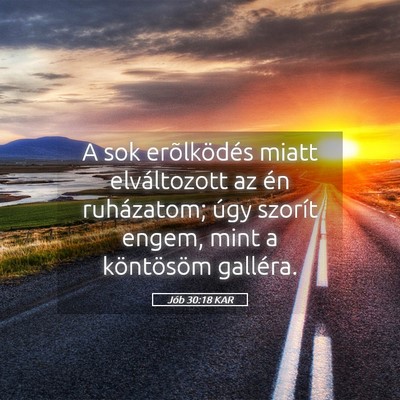 Picture 05 - Jób 30:18 KAR - A sok erõlködés miatt elváltozott az én - Bible Verse Picture