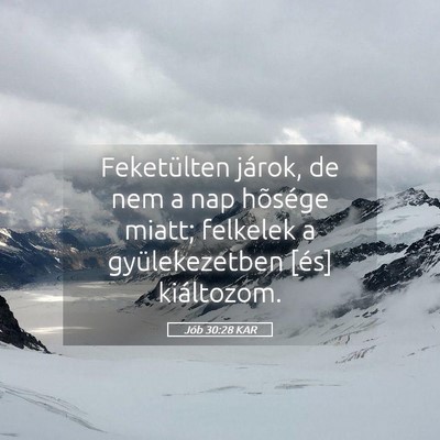 Picture 05 - Jób 30:28 KAR - Feketülten járok, de nem a nap hõsége miatt; - Bible Verse Picture