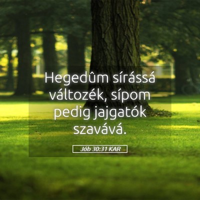 Picture 05 - Jób 30:31 KAR - Hegedûm sírássá változék, sípom pedig - Bible Verse Picture