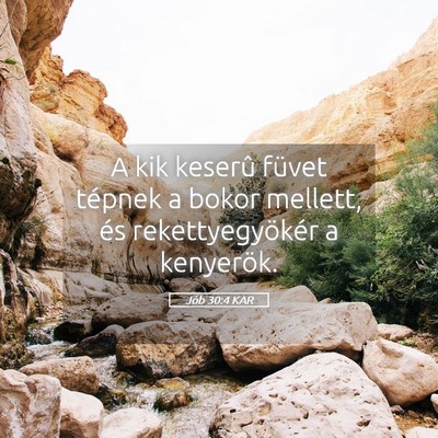 Picture 05 - Jób 30:4 KAR - A kik keserû füvet tépnek a bokor mellett, és - Bible Verse Picture