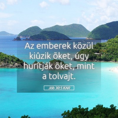 Picture 05 - Jób 30:5 KAR - Az emberek közül kiûzik õket, úgy hurítják - Bible Verse Picture