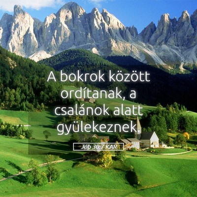 Picture 05 - Jób 30:7 KAR - A bokrok között ordítanak, a csalánok alatt - Bible Verse Picture