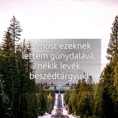 Picture 05 - Jób 30:9 KAR - És most ezeknek lettem gúnydalává, nékik - Bible Verse Picture