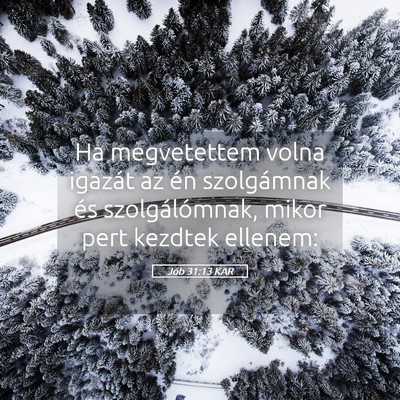 Picture 05 - Jób 31:13 KAR - Ha megvetettem volna igazát az én szolgámnak - Bible Verse Picture
