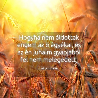 Picture 05 - Jób 31:20 KAR - Hogyha nem áldottak engem az õ ágyékai, és - Bible Verse Picture