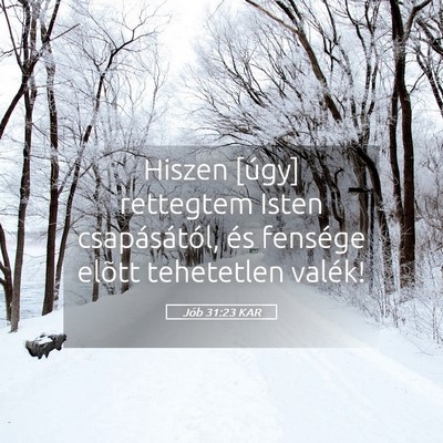 Picture 05 - Jób 31:23 KAR - Hiszen [úgy] rettegtem Isten csapásától, és - Bible Verse Picture