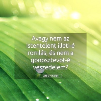 Picture 05 - Jób 31:3 KAR - Avagy nem az istentelent illeti-é romlás, és - Bible Verse Picture