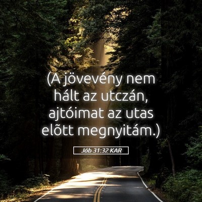 Picture 05 - Jób 31:32 KAR - (A jövevény nem hált az utczán, ajtóimat az - Bible Verse Picture