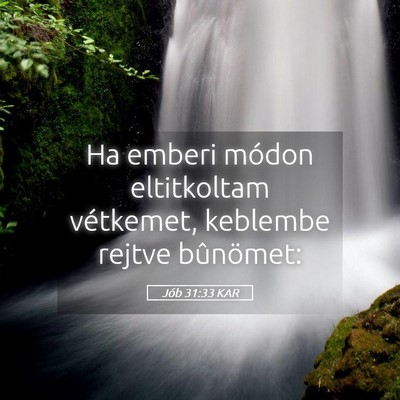 Picture 05 - Jób 31:33 KAR - Ha emberi módon eltitkoltam vétkemet, keblembe - Bible Verse Picture