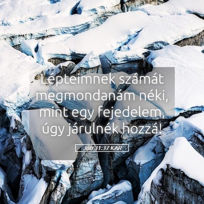 Picture 05 - Jób 31:37 KAR - Lépteimnek számát megmondanám néki, mint egy - Bible Verse Picture