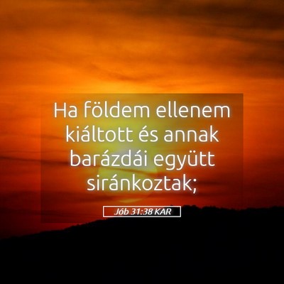 Picture 05 - Jób 31:38 KAR - Ha földem ellenem kiáltott és annak barázdái - Bible Verse Picture