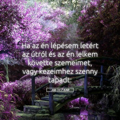 Picture 05 - Jób 31:7 KAR - Ha az én lépésem letért az útról és az én - Bible Verse Picture