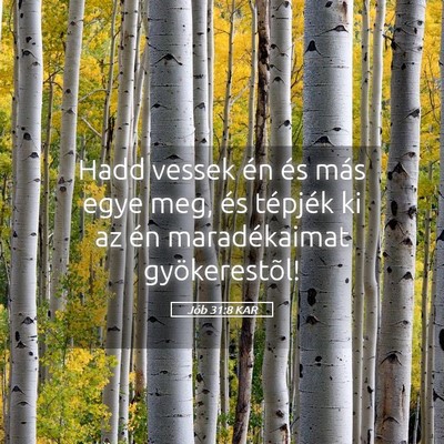 Picture 05 - Jób 31:8 KAR - Hadd vessek én és más egye meg, és tépjék - Bible Verse Picture