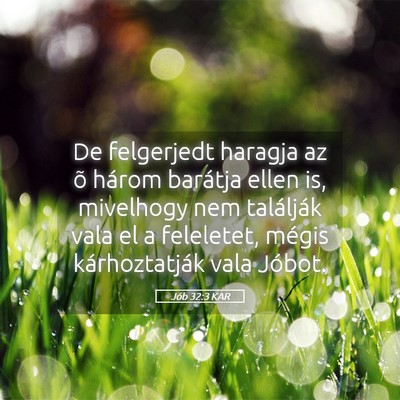 Picture 05 - Jób 32:3 KAR - De felgerjedt haragja az õ három barátja ellen - Bible Verse Picture