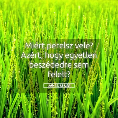 Picture 05 - Jób 33:13 KAR - Miért perelsz vele? Azért, hogy egyetlen - Bible Verse Picture