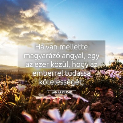 Picture 05 - Jób 33:23 KAR - Ha van mellette magyarázó angyal, egy az ezer - Bible Verse Picture