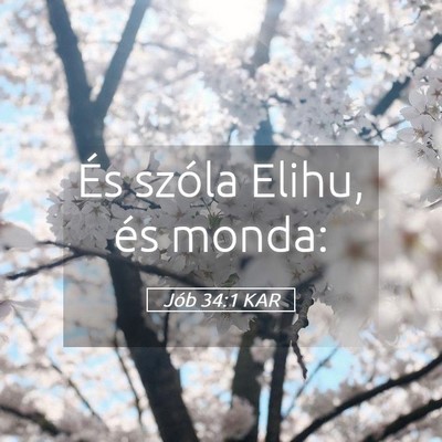 Picture 05 - Jób 34:1 KAR - És szóla Elihu, és - Bible Verse Picture