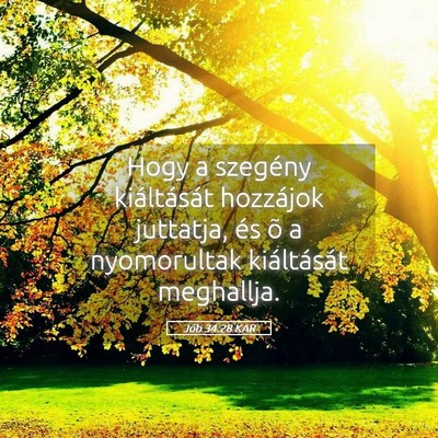 Picture 05 - Jób 34:28 KAR - Hogy a szegény kiáltását hozzájok juttatja, - Bible Verse Picture