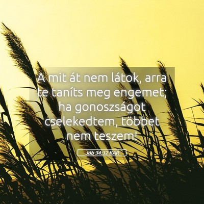Picture 05 - Jób 34:32 KAR - A mit át nem látok, arra te taníts meg - Bible Verse Picture