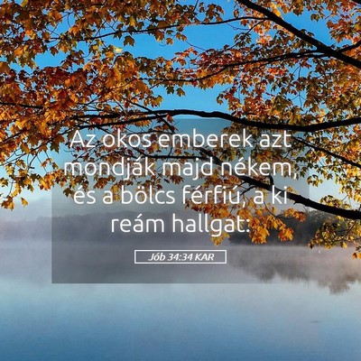 Picture 05 - Jób 34:34 KAR - Az okos emberek azt mondják majd nékem, és a - Bible Verse Picture
