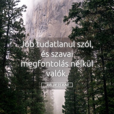 Picture 05 - Jób 34:35 KAR - Jób tudatlanul szól, és szavai megfontolás - Bible Verse Picture