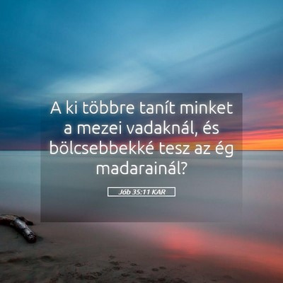Picture 05 - Jób 35:11 KAR - A ki többre tanít minket a mezei vadaknál, és - Bible Verse Picture