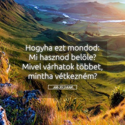 Picture 05 - Jób 35:3 KAR - Hogyha ezt mondod: Mi hasznod belõle? Mivel - Bible Verse Picture