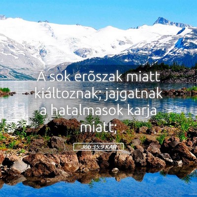 Picture 05 - Jób 35:9 KAR - A sok erõszak miatt kiáltoznak; jajgatnak a - Bible Verse Picture