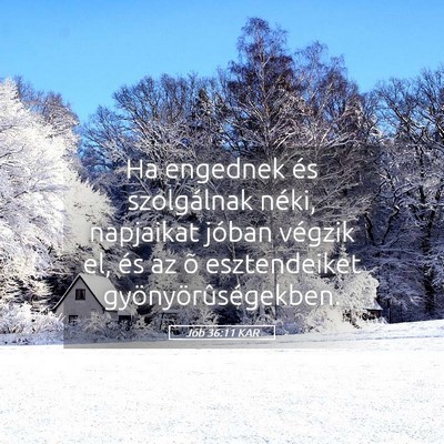 Picture 05 - Jób 36:11 KAR - Ha engednek és szolgálnak néki, napjaikat - Bible Verse Picture