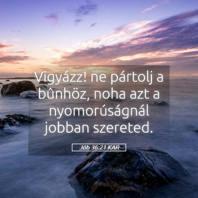 Picture 05 - Jób 36:21 KAR - Vigyázz! ne pártolj a bûnhöz, noha azt a - Bible Verse Picture