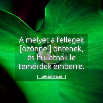 Picture 05 - Jób 36:28 KAR - A melyet a fellegek [özönnel] öntenek, és - Bible Verse Picture
