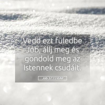 Picture 05 - Jób 37:13 KAR - Vedd ezt füledbe Jób, állj meg és gondold meg - Bible Verse Picture