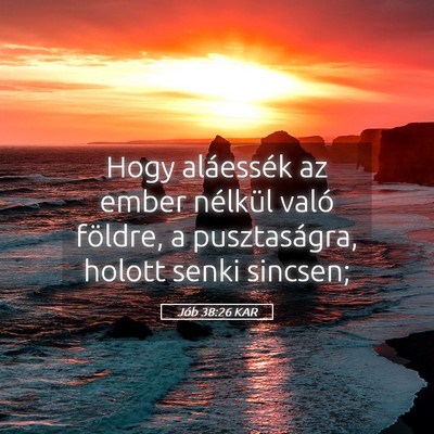 Picture 05 - Jób 38:26 KAR - Hogy aláessék az ember nélkül való földre, - Bible Verse Picture