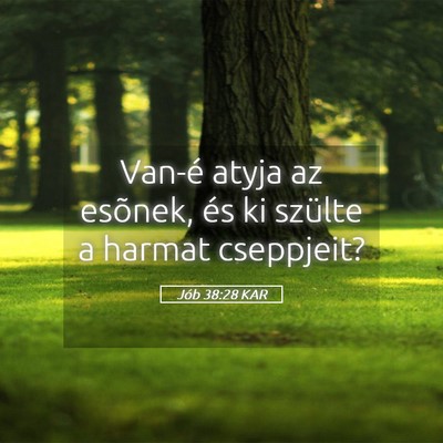 Picture 05 - Jób 38:28 KAR - Van-é atyja az esõnek, és ki szülte a harmat - Bible Verse Picture
