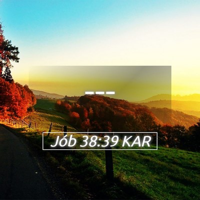 Picture 05 - Jób 38:39 KAR -  - Bible Verse Picture