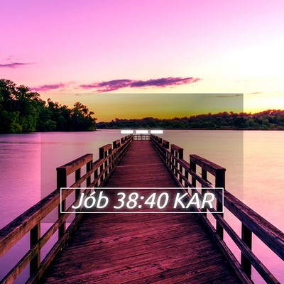 Picture 05 - Jób 38:40 KAR -  - Bible Verse Picture