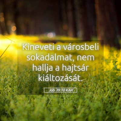 Picture 05 - Jób 39:10 KAR - Kineveti a városbeli sokadalmat, nem hallja a - Bible Verse Picture