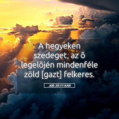 Picture 05 - Jób 39:11 KAR - A hegyeken szedeget, az õ legelõjén - Bible Verse Picture