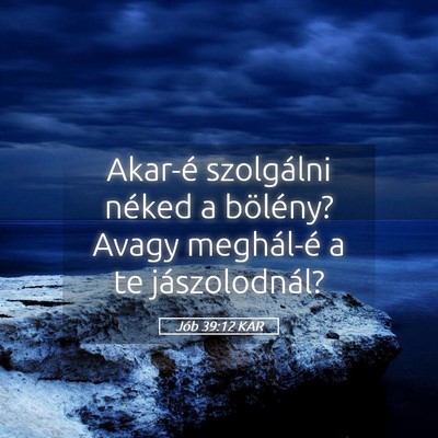 Picture 05 - Jób 39:12 KAR - Akar-é szolgálni néked a bölény? Avagy - Bible Verse Picture