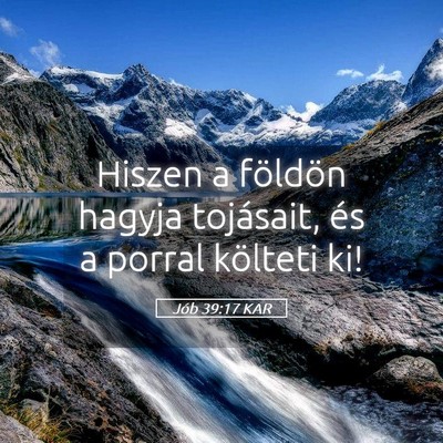 Picture 05 - Jób 39:17 KAR - Hiszen a földön hagyja tojásait, és a porral - Bible Verse Picture