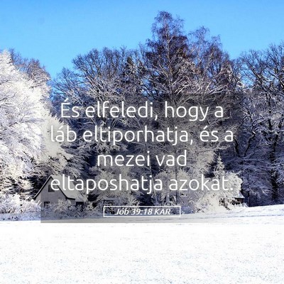 Picture 05 - Jób 39:18 KAR - És elfeledi, hogy a láb eltiporhatja, és a - Bible Verse Picture