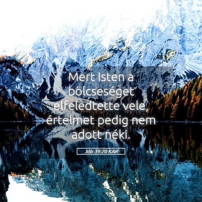 Picture 05 - Jób 39:20 KAR - Mert Isten a bölcseséget elfeledtette vele, - Bible Verse Picture