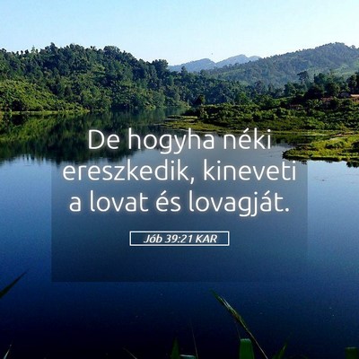 Picture 05 - Jób 39:21 KAR - De hogyha néki ereszkedik, kineveti a lovat és - Bible Verse Picture