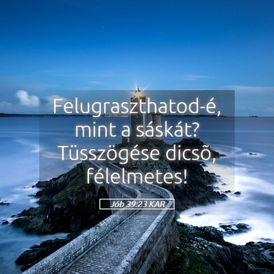 Picture 05 - Jób 39:23 KAR - Felugraszthatod-é, mint a sáskát? - Bible Verse Picture
