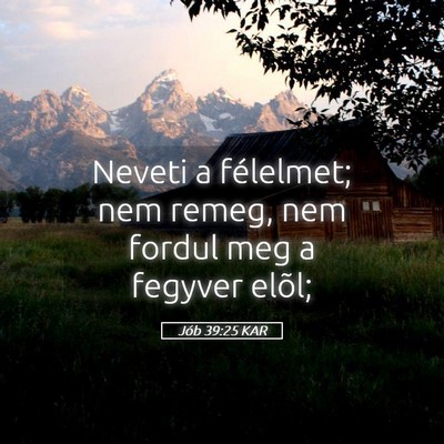 Picture 05 - Jób 39:25 KAR - Neveti a félelmet; nem remeg, nem fordul meg a - Bible Verse Picture