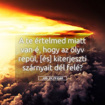 Picture 05 - Jób 39:29 KAR - A te értelmed miatt van-é, hogy az ölyv - Bible Verse Picture