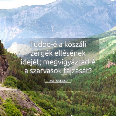 Picture 05 - Jób 39:4 KAR - Tudod-é a kõszáli zergék ellésének idejét; - Bible Verse Picture