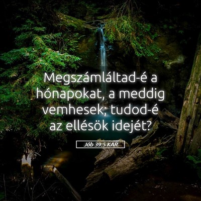 Picture 05 - Jób 39:5 KAR - Megszámláltad-é a hónapokat, a meddig - Bible Verse Picture
