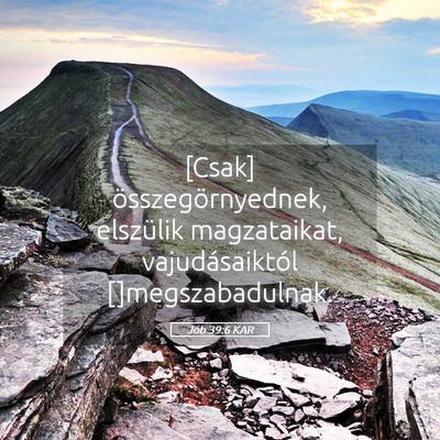 Picture 05 - Jób 39:6 KAR - [Csak] összegörnyednek, elszülik magzataikat, - Bible Verse Picture