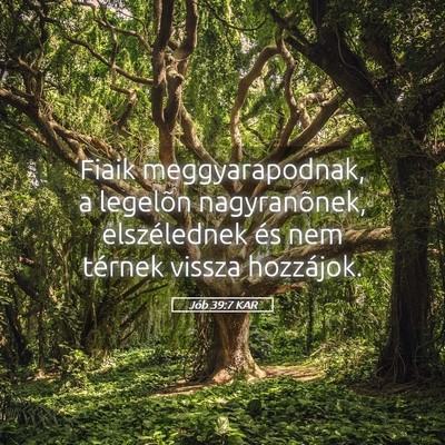 Picture 05 - Jób 39:7 KAR - Fiaik meggyarapodnak, a legelõn nagyranõnek, - Bible Verse Picture